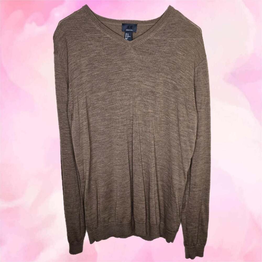 H&M Merino Wool V-Neck Sweater